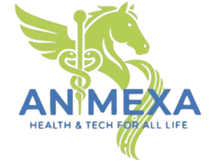 animexa logo 2